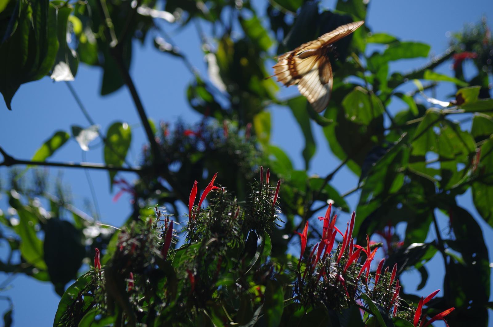 Cataratas del Iguaz�