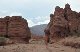 Quebrada de los Conchas 
