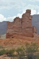 Quebrada de los Conchas 