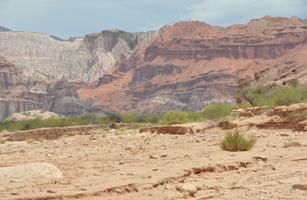 Quebrada de los Conchas