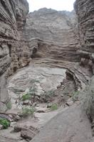 Quebrada de los Conchas