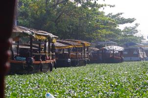 Alleppey