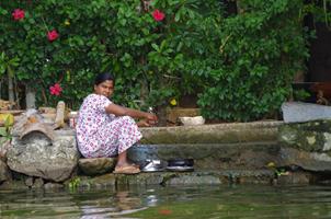 Alleppey
