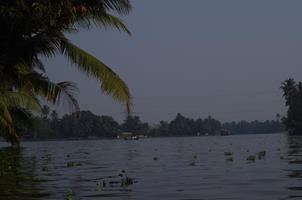 Alleppey