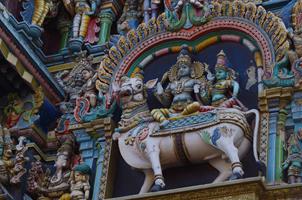 Maduraj