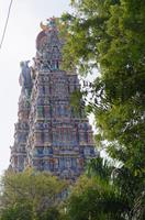 Maduraj