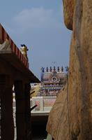 Trichy