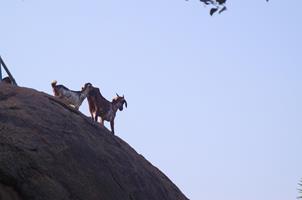 Mamallapuram
