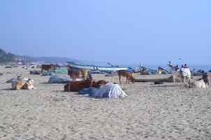 Mamallapuram