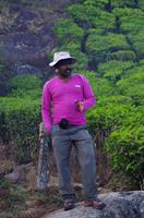 Munnar