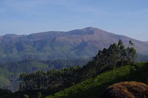 Munnar