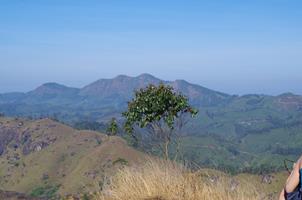 Munnar