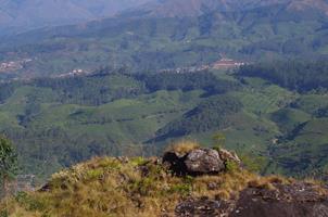 Munnar