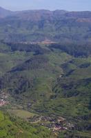 Munnar